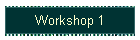 Workshop 1